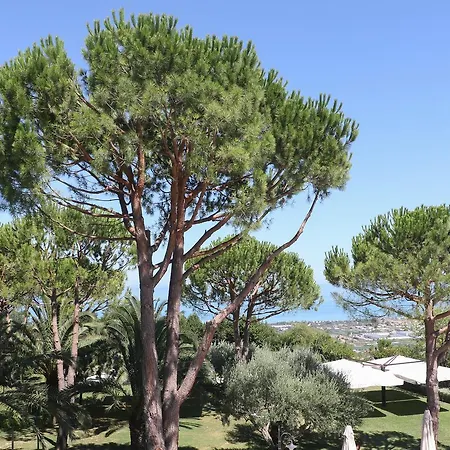 Le Di Incanto Colonnella