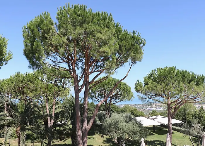 Le Di Incanto Colonnella